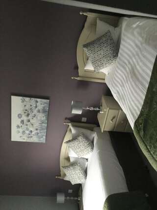 Отели типа «постель и завтрак» Anam Cara B&B Корк Двухместный номер Делюкс с 2 отдельными кроватями-6