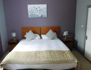 Отели типа «постель и завтрак» Anam Cara B&B Корк Номер Делюкс с кроватью размера «king-size»-3